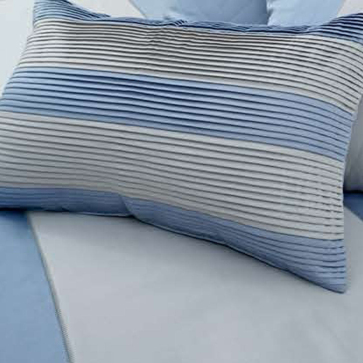 Silvery Blue