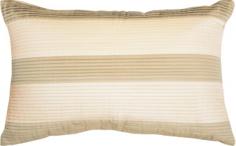 Ivory / Khaki